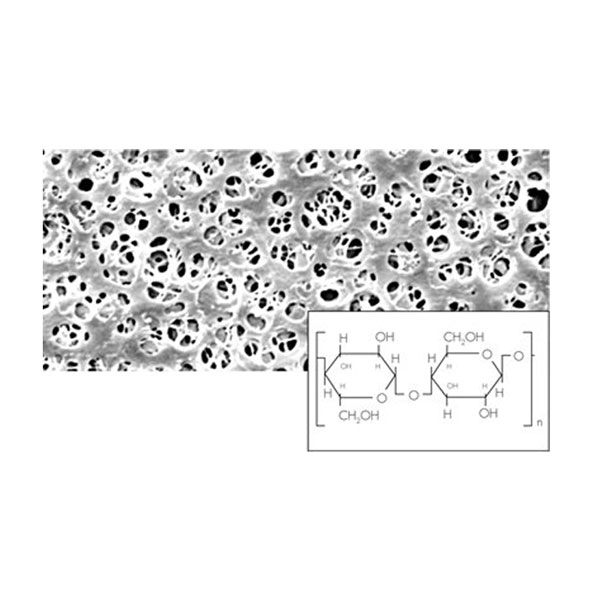 Sartorius 再生纤维素膜过滤器 Sartorius 再生纤维素膜过滤器